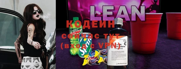 ПСИЛОЦИБИНОВЫЕ ГРИБЫ Горно-Алтайск