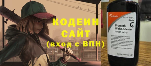 ПСИЛОЦИБИНОВЫЕ ГРИБЫ Горно-Алтайск