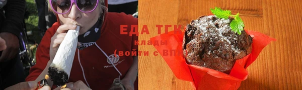 ПСИЛОЦИБИНОВЫЕ ГРИБЫ Горно-Алтайск