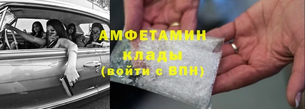 ПСИЛОЦИБИНОВЫЕ ГРИБЫ Горно-Алтайск