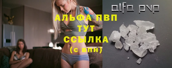 ПСИЛОЦИБИНОВЫЕ ГРИБЫ Горно-Алтайск
