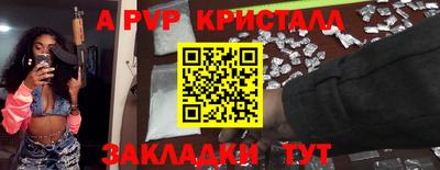 стаф Донской