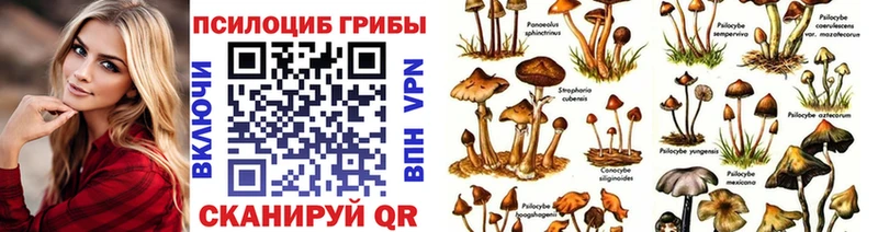 где купить наркоту ссылка на мегу tor Псилоцибиновые грибы Psilocybine cubensis Муром