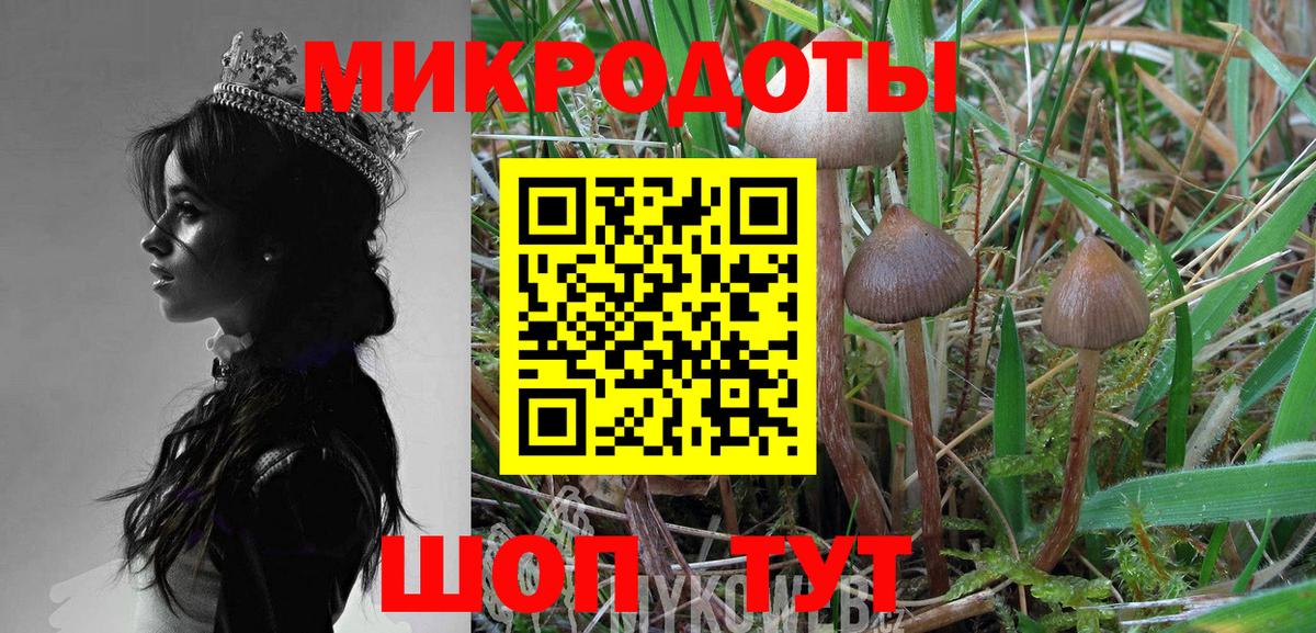 Муром  Псилоцибиновые грибы прущие грибы  Вход с VPN  Псилоцибиновые грибы мицелий 