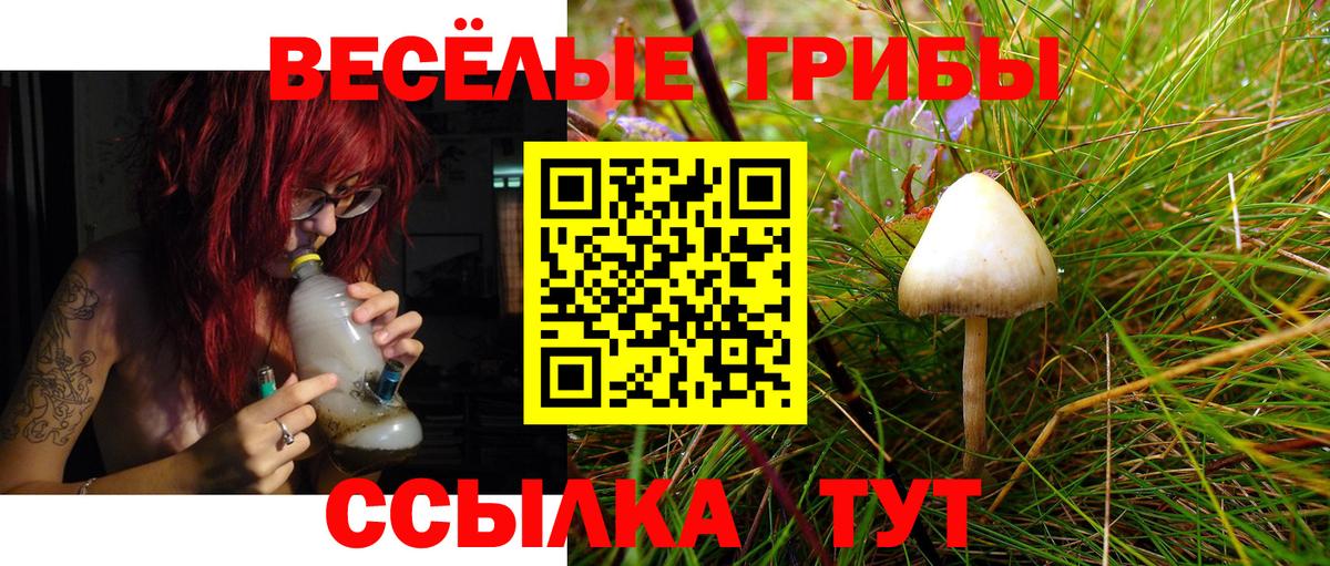 Галлюциногенные грибы ЛСД Муром